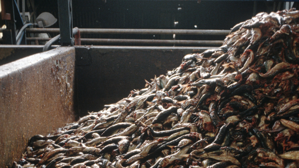 California Waste Water Management