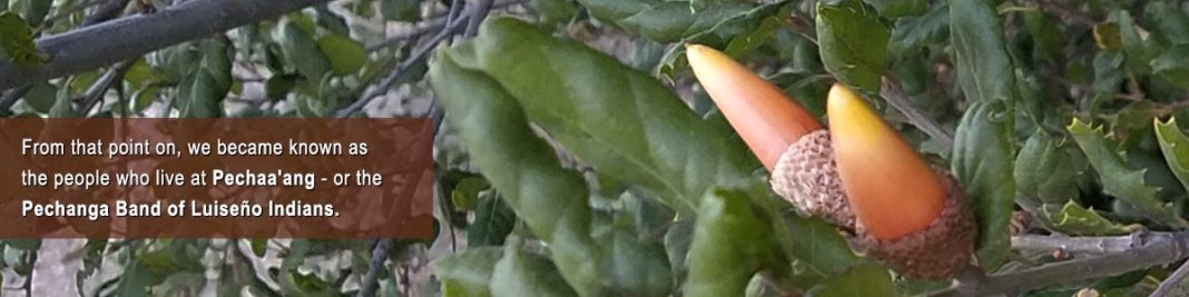 California Waste Water Management