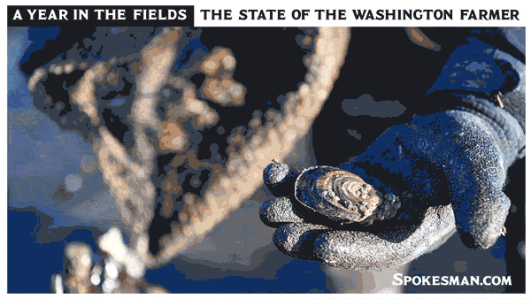 California Waste Water Management